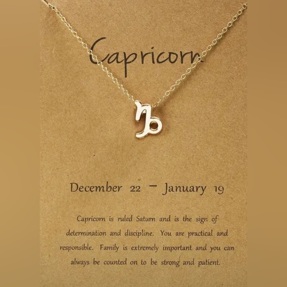 Capricorn Necklace - Picture 1 of 3
